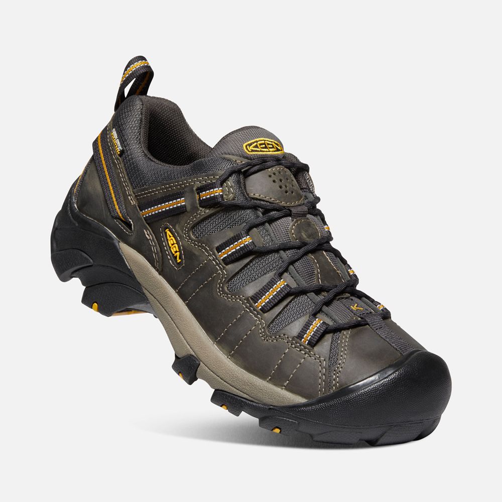 Chaussure de Randonnée Keen Homme Noir Marron | Targhee Ii Waterproof | APQWX-7016